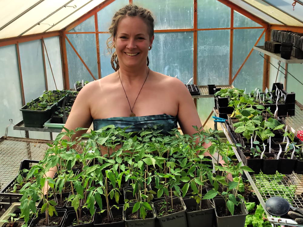 Plant a tree, give a home