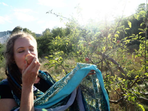 Frau in blauen sari isst apfel