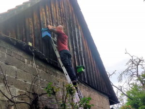 jay climbing the barn