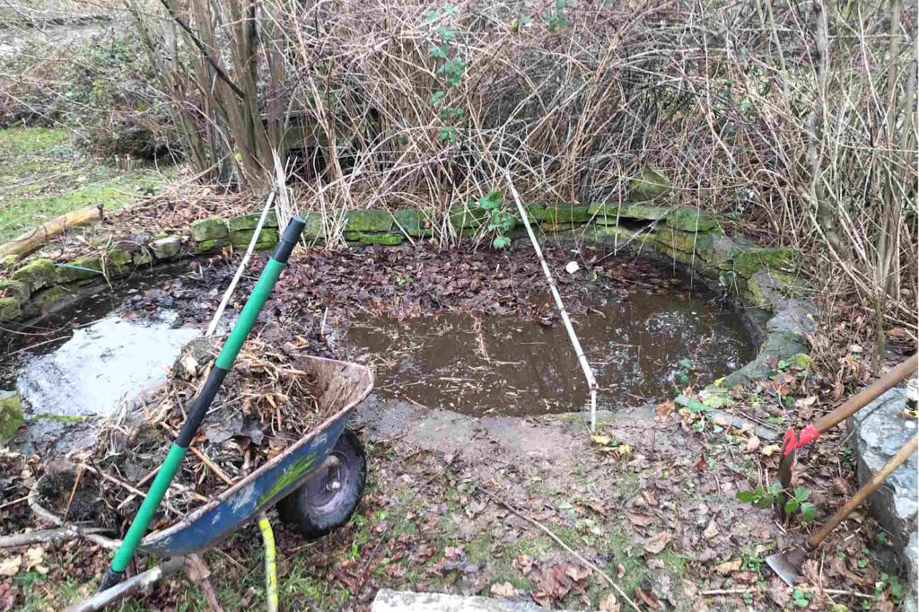 Laub entfernen Teich