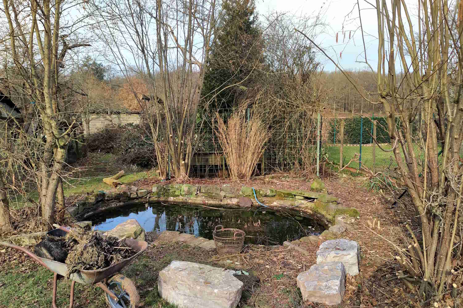 Pond renovation project – summary
